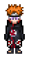 Special Outfit